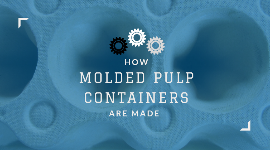 How Molded Pulp Containers Are Made