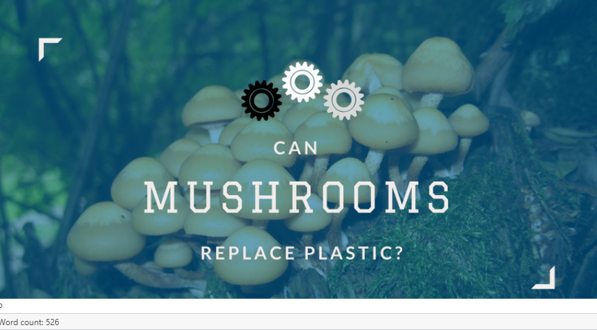 Can Mushrooms Replace Plastic?